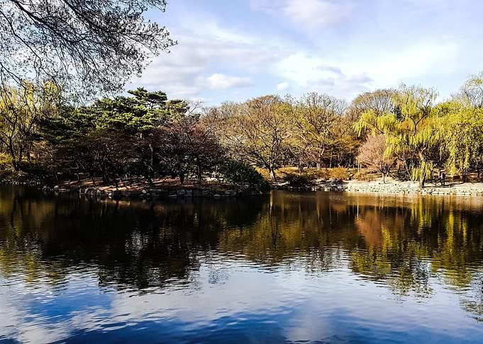 Nature Reflection