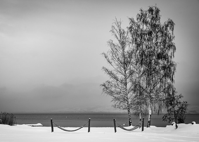 The tree