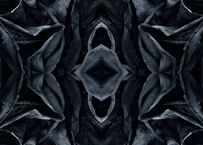 The age grey2