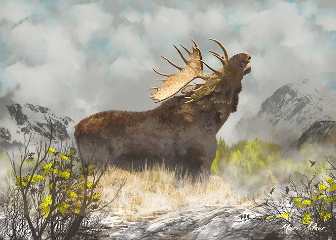 Calling all Moose
