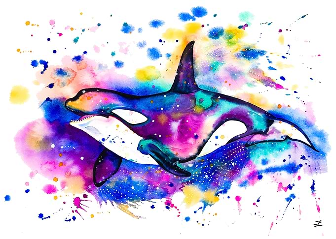 Orca