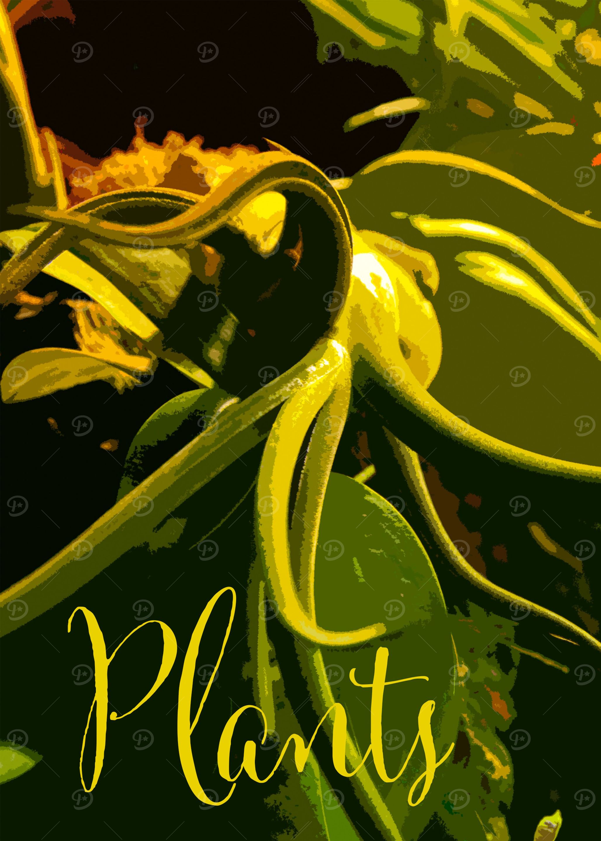 Plants