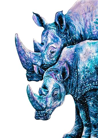 Rhinoceros Couple