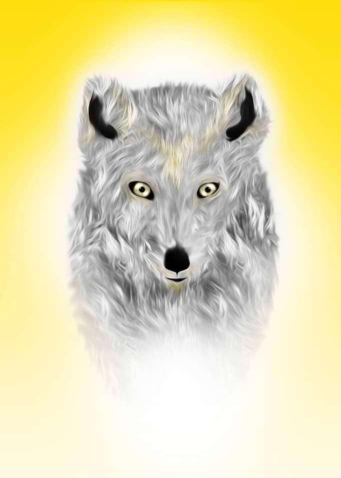 Foxie Arc
