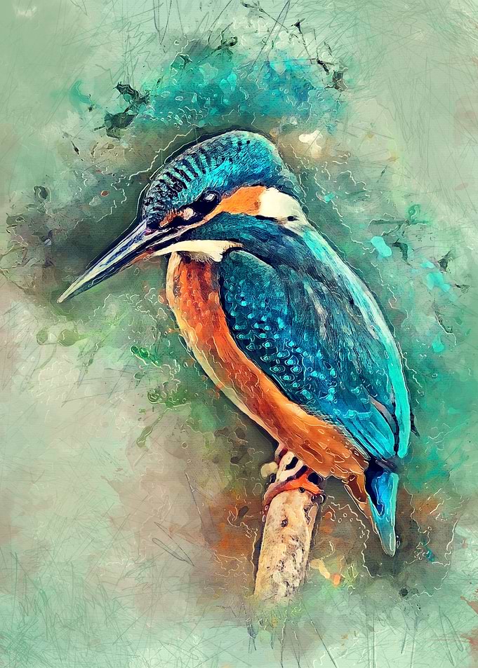Kingfisher