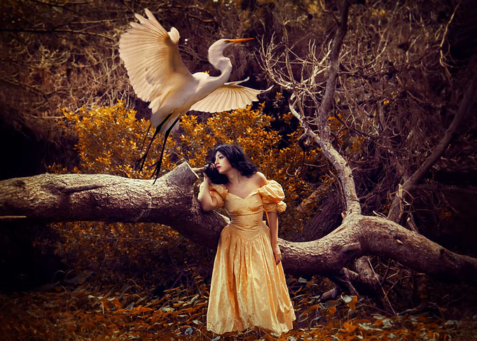 The heron maiden