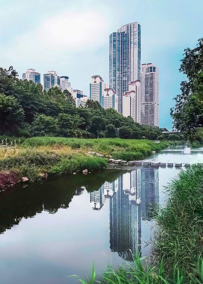 Urban Reflection