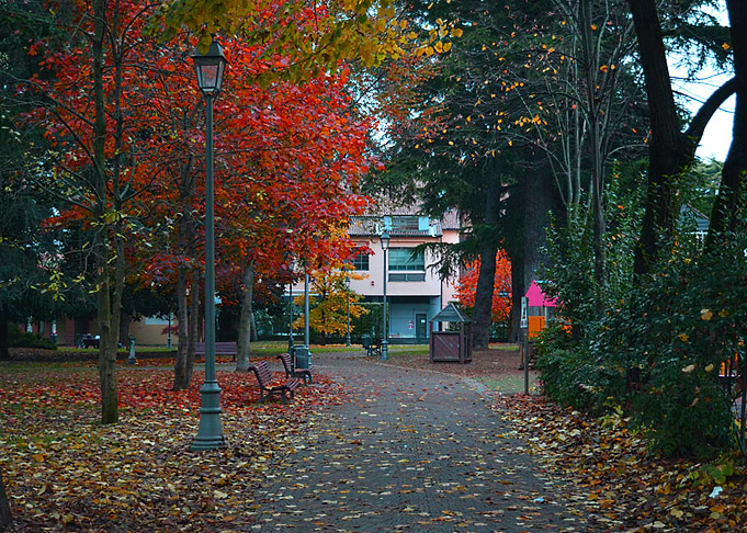 Autumn in Italy