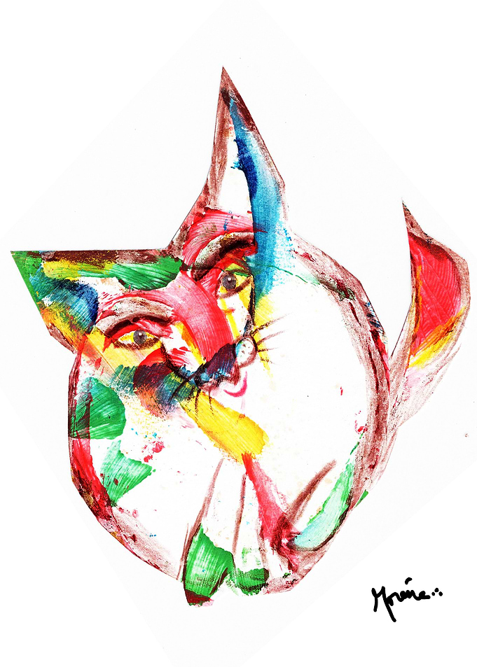 COLORS CAT