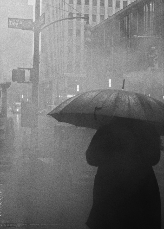 Umbrella