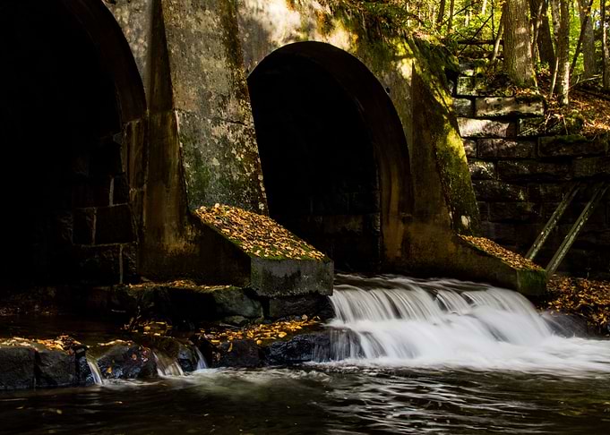 Forgotten Arches