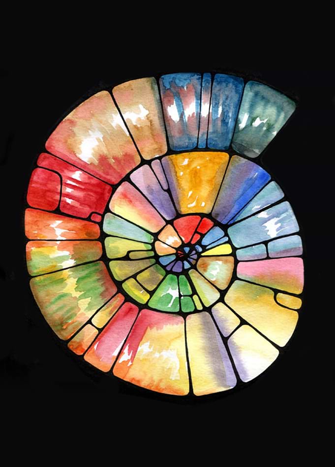 Rainbow shell