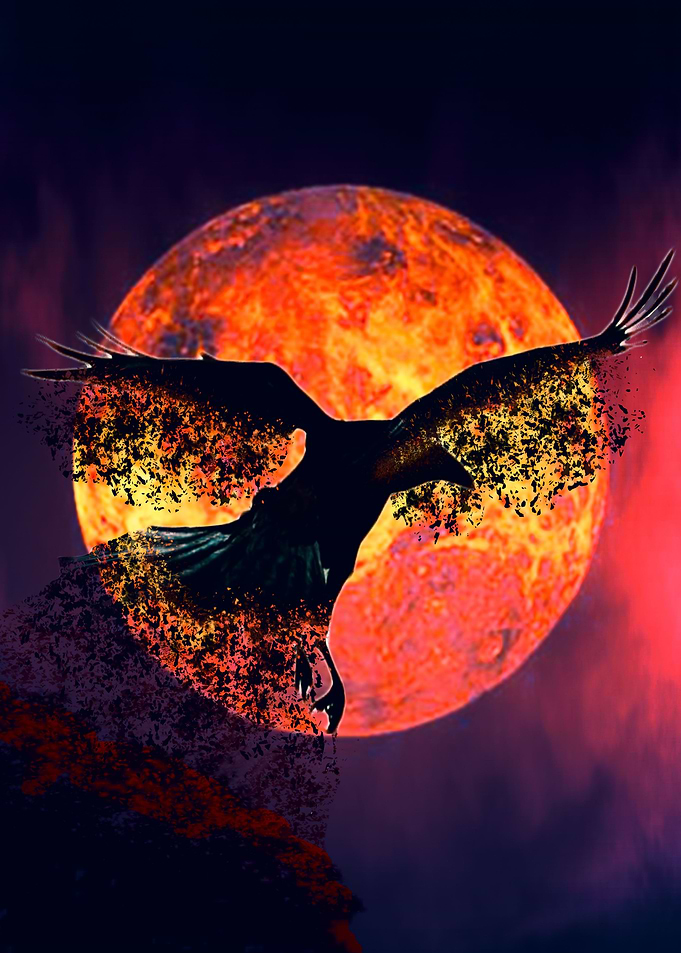 blackbird