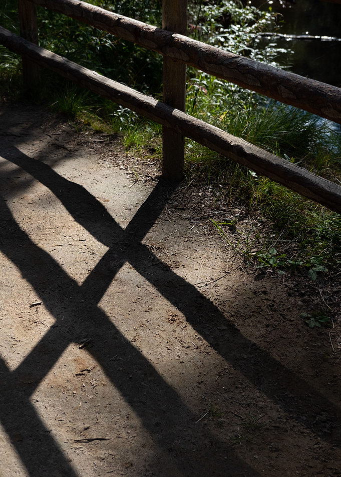 Shadows