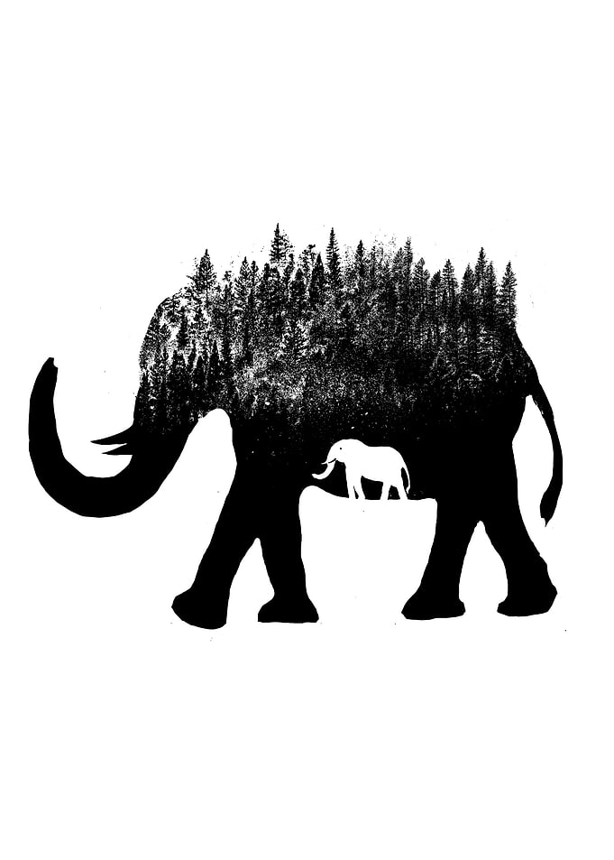 Save the Elephant
