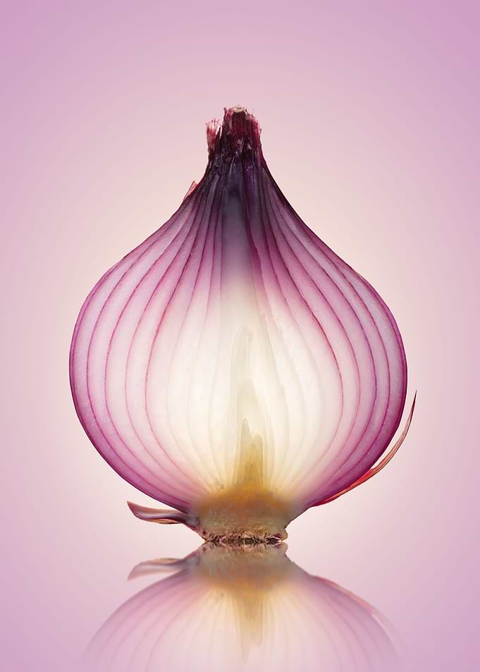 Red Onion Translucent