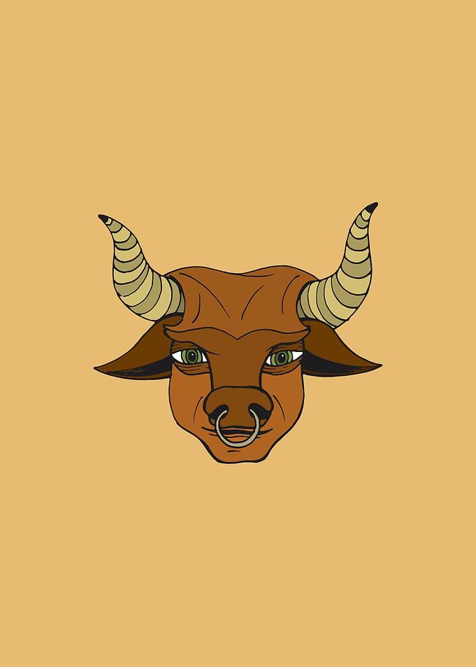ZODIAC 2 taurus