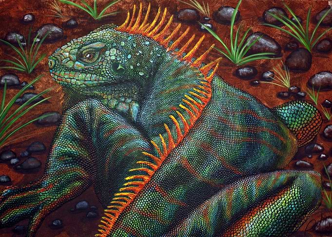 Iguana