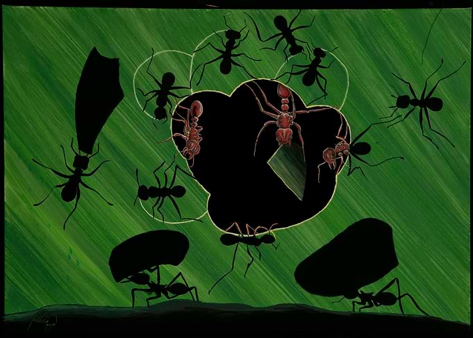 Leafcutter Ant