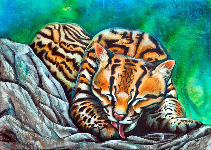 Ocelot blue green