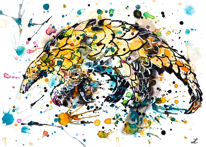 Pangolin