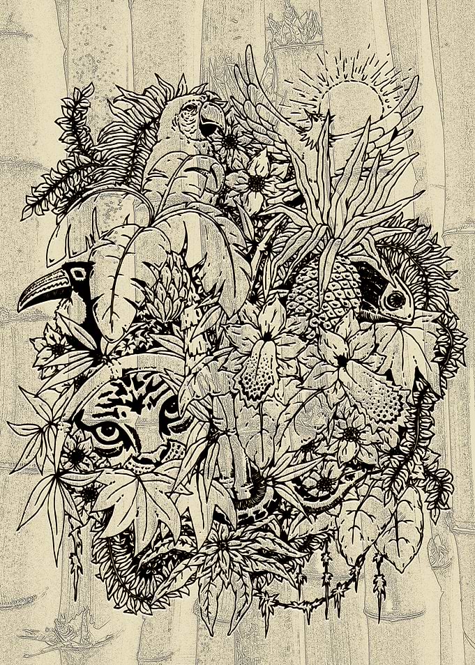 Wildlife Animals on Jungle