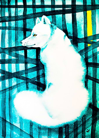 Polar Fox
