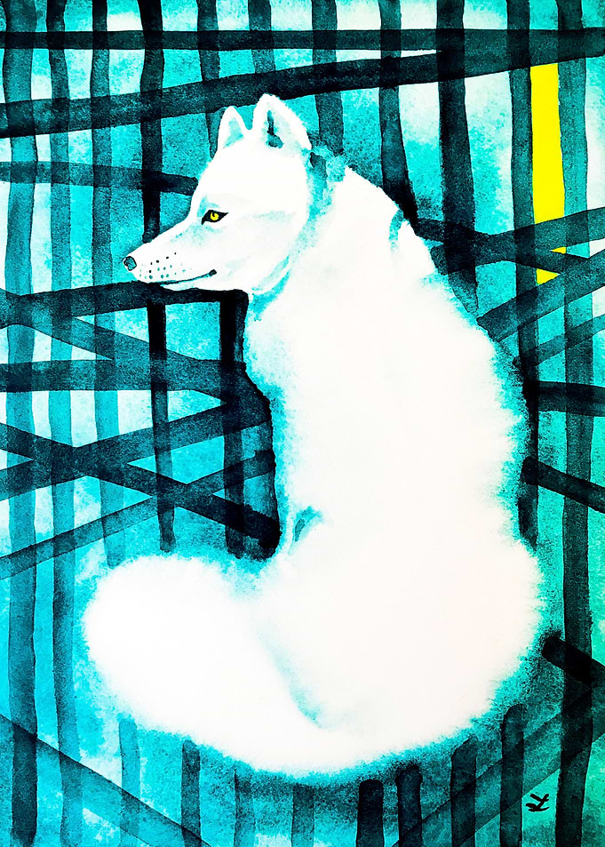 Polar Fox