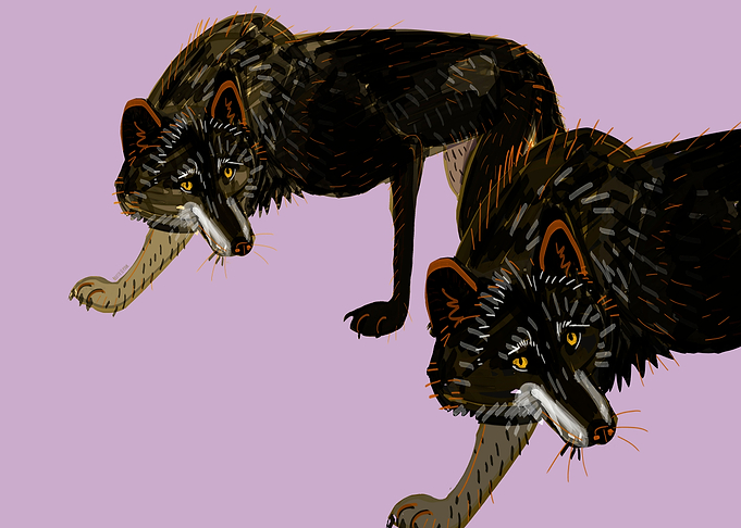 Totem Black Wolf