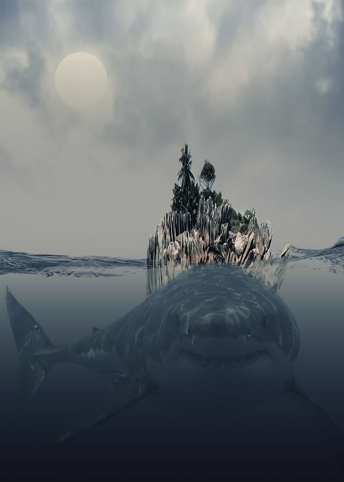 shark