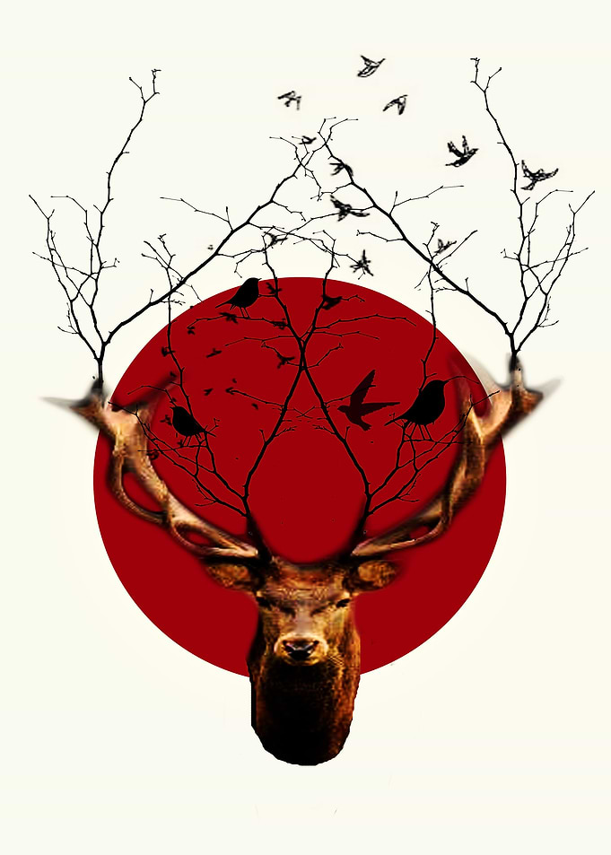 deer