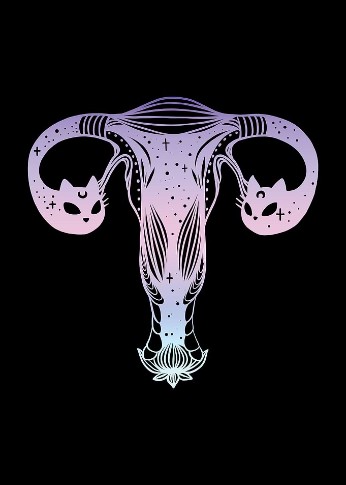 Ovaries Uterus Cat Heads