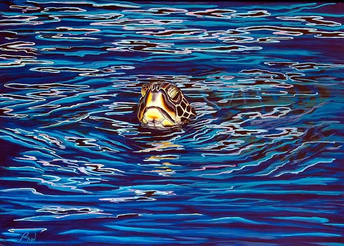 Sea Turtle