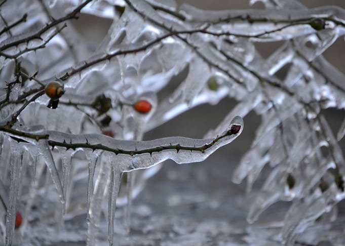 The ice of time