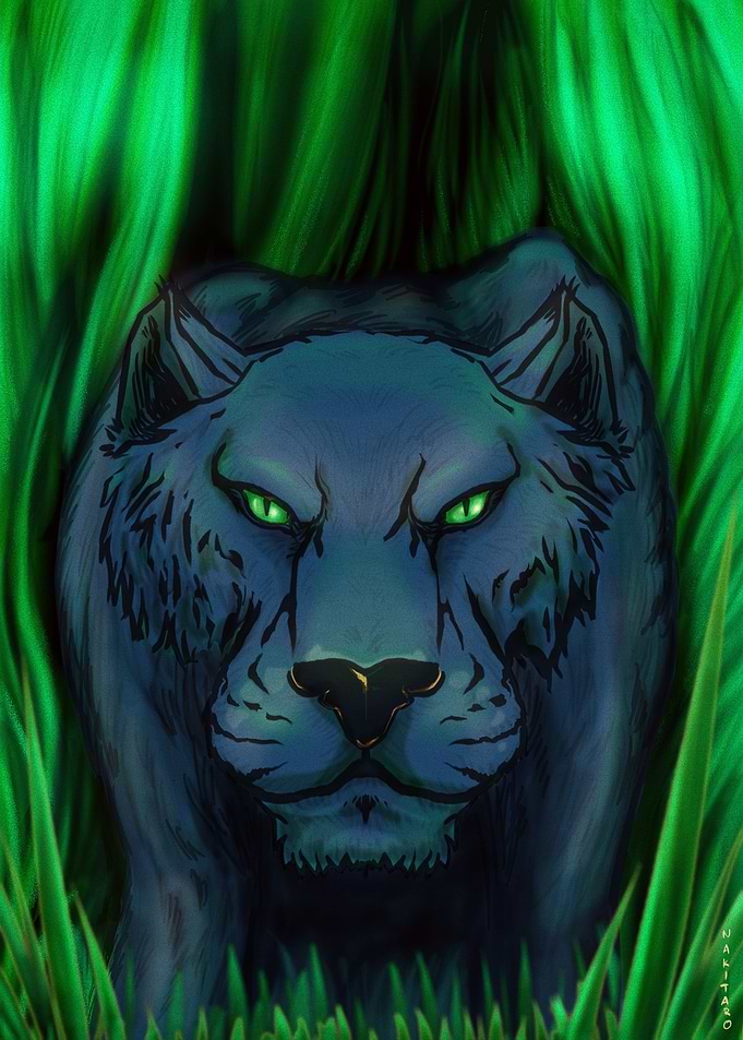 panther lurking