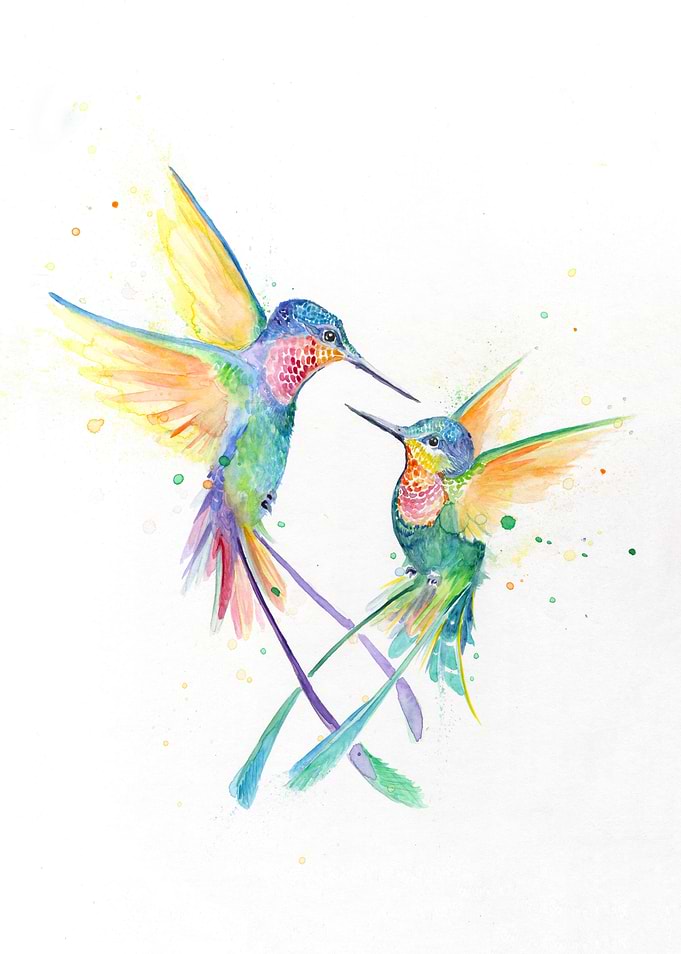 Hummingbirds
