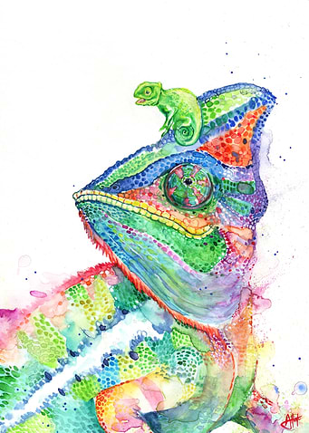 Clutcha Chameleons