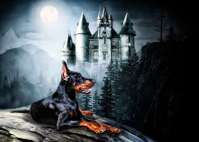 Magical night