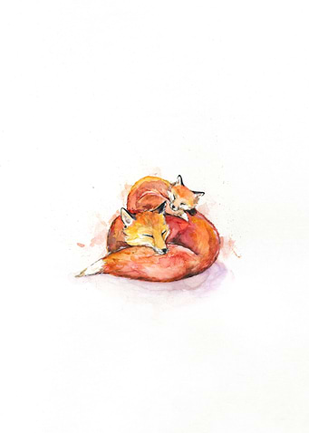 Foucaults Foxes