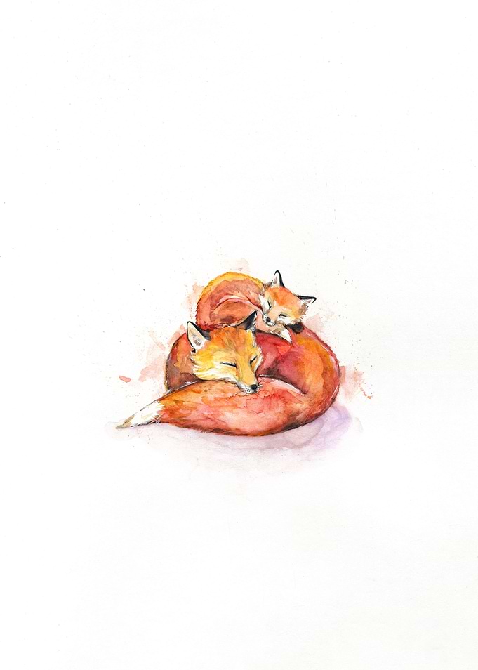 Foucaults Foxes