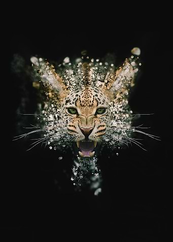 Leopard face