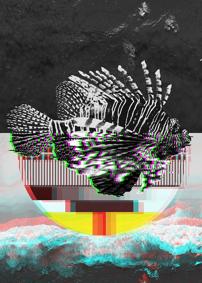 Glitch Lionfish