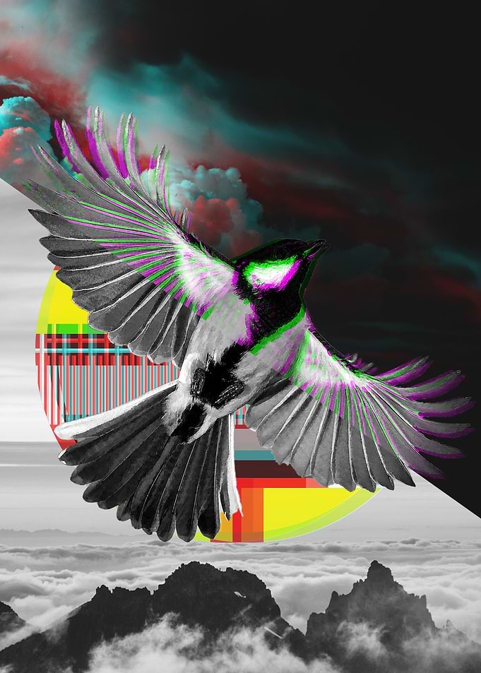 Glitch Bird