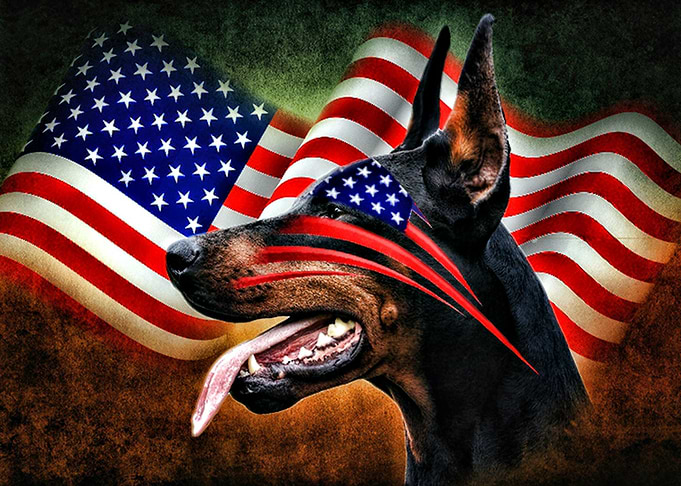 Dobermannjpga