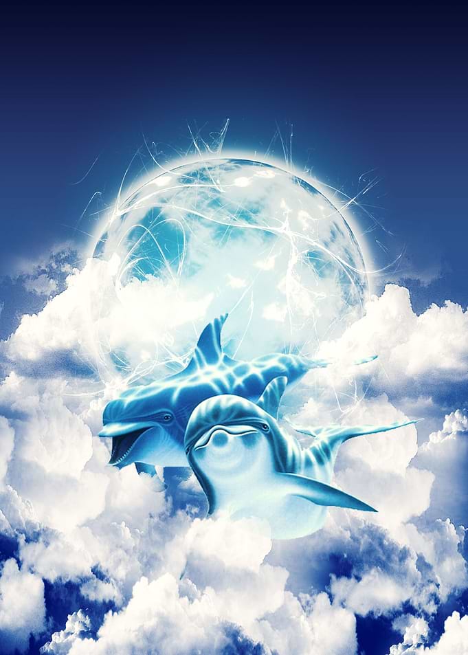 dolphin