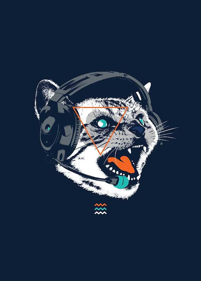 Stereo Cat