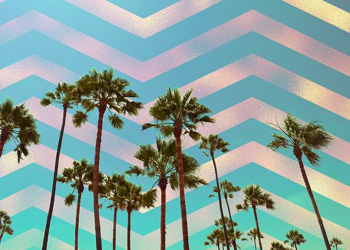 Beach Palms