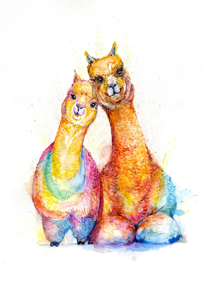 PackaAlpaca