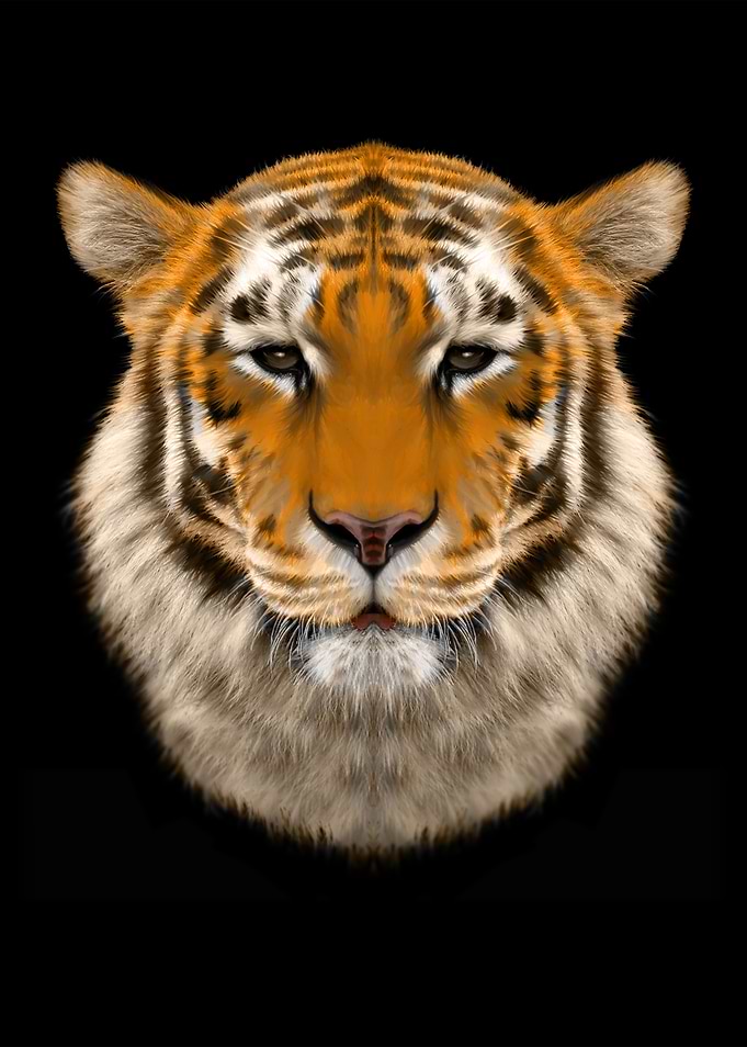 TigerfaceOCT18