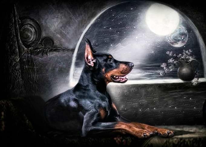 Moon liight